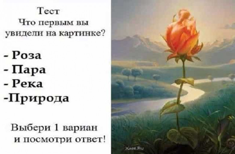 А как вы это видите. Что вы увидели первым на картинке. Тест что увидел первое на картинке. Тест по картинке что первым увидишь. Психологический тест по картине.